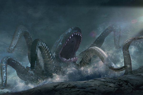 Kraken cc