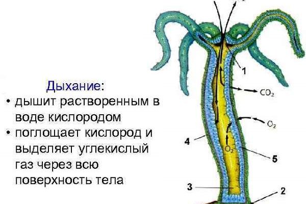 Кракен правила площадки