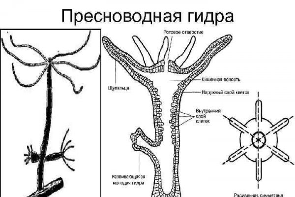 Kraken darknet market ссылка тор